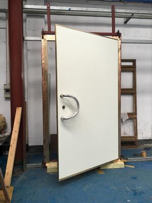 1.2 2.1m Grootte van de deur RF afgeschermd schommelde venster Swing deur model met aanpasbare afmetingen voor verschillende toepassingen